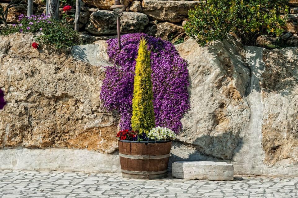 Il Giardino Dei Flintstones B&B Cerveteri Exterior foto